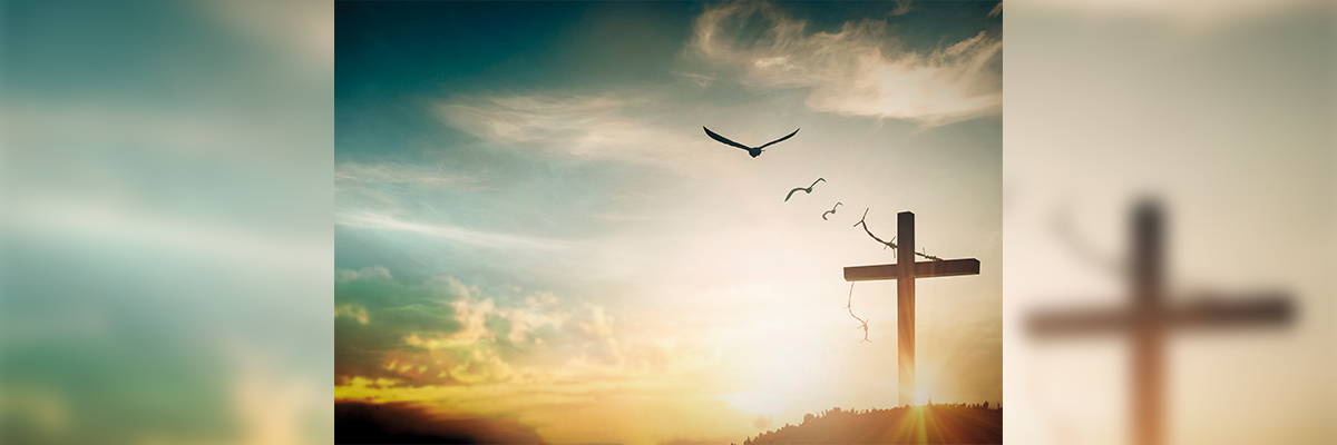 Cruz al amanecer con aves volando Imagen de una cruz iluminada con aves en vuelo al amanecer