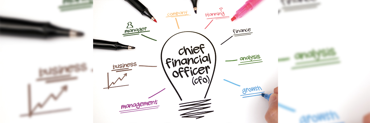 Ideas directora financiera
