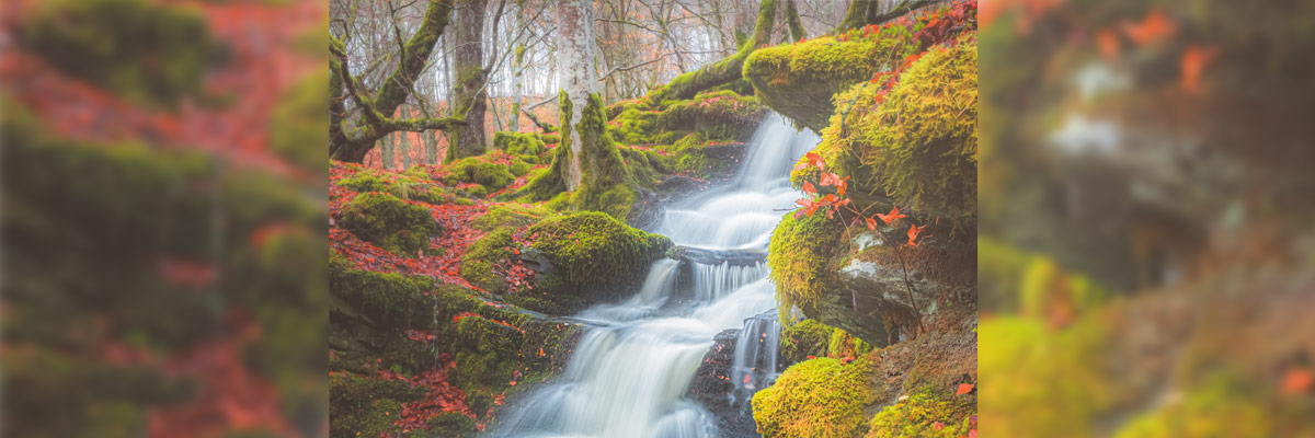 Paisaje con una caida de agua