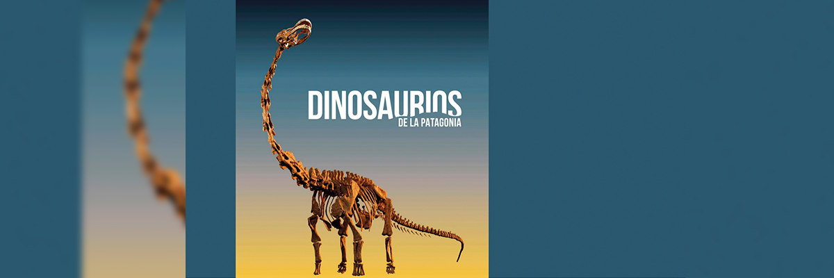 Esqueleto dinosaurio Esqueleto dinosaurio