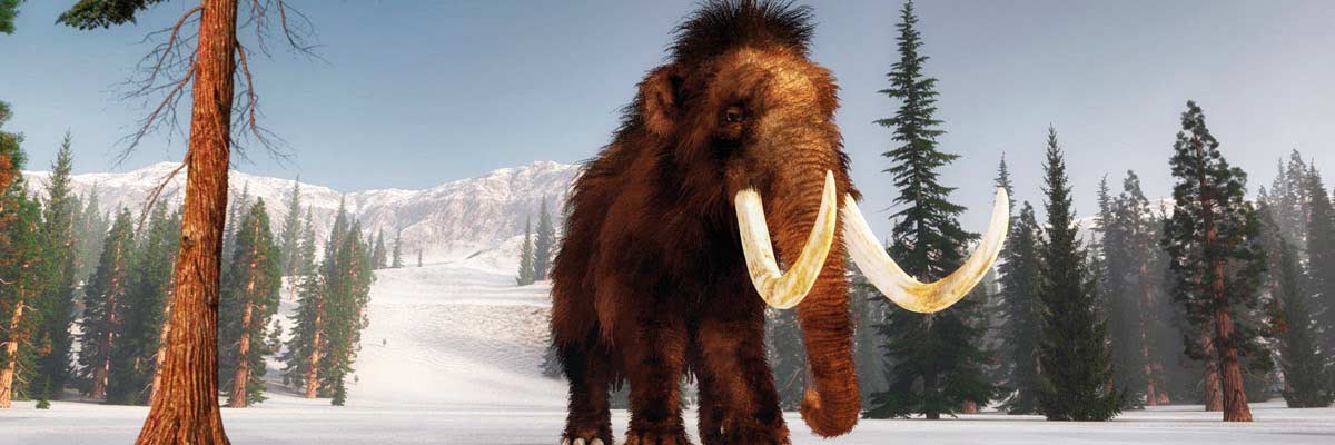 Exposición Mamut. El gigante de la edad de hielo