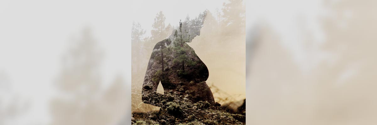 Silueta mujer embarazada Silueta mujer embarazada