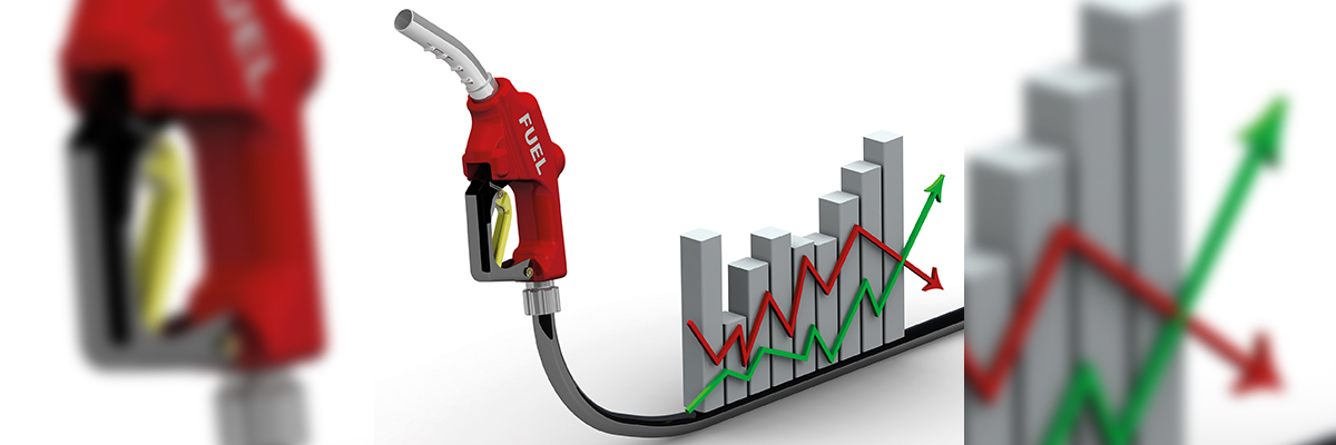 Precio combustible Manguera gasolina y una gráfica que representa los picos de subidas y bajadas de su precio