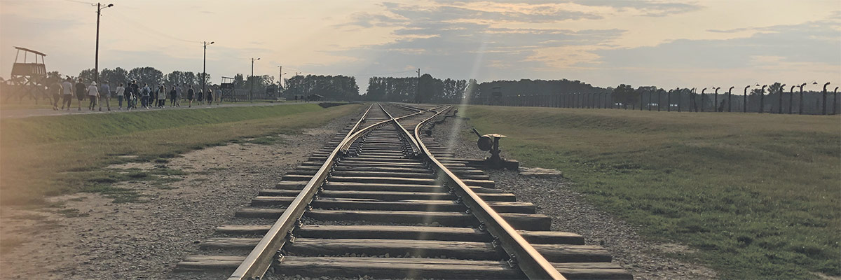 Viaje a Auschwitz Viaje a Auschwitz