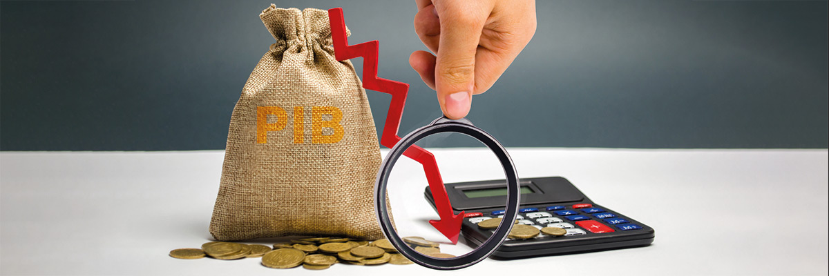Analizando el decrecimiento del PIB Analizando el decrecimiento del PIB