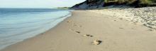 Playa solitaria con unas pisadas en la arena